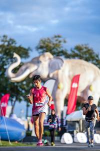 BIB: 
                            <button type="button" onclick="openModal(26541223)" class="btn btn-primary btn-sm float-right btn-popup" data-toggle="modal" data-target=".modal-high-quality">
                        <i class="fas fa-shopping-cart"></i> Add to Cart
                    </button>
                                            <button type="button" onclick="isThisMe(26541223, true)" class="btn btn-success btn-sm float-right btn-popup btn-isme hidden" data-toggle="tooltip" data-placement="bottom" title="นี่คือรูปของคุณใช่ไหม คลิกที่นี่เพื่อเอาเข้าอัลบั้ม">
                        <i class="fas fa-plus"></i> Add to album
                    </button>
                    <button type="button" onclick="isThisMe(26541223, false)" class="btn btn-warning btn-sm float-right btn-popup btn-isnotme hidden">
                        <i class="fas fa-ban"></i> Remove from album
                    </button>